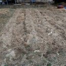 텃밭가꾸기 이미지