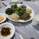 산채마을 | 문배마을 장씨네 산채비빔밥 솔직후기｜맛은 인정, 친절함은 기대 안 하는 걸로