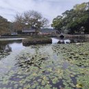 진도 운림산방 이미지