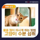 홍제24시모아동물의료센터 이미지
