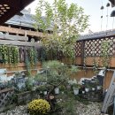 전주한옥마을소리울 | 전주 한옥마을 숙박 &lt;소리풍경&gt;한국 전통가옥에서 하룻밤 체험 후기