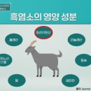 100세흑염소 이미지