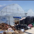 송배농장 이미지