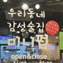 미니펍양산