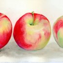 수채화(초급) 이미지