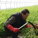 농민농약백화점 이미지