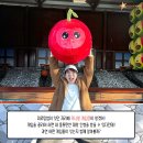 대왕게임장 이미지