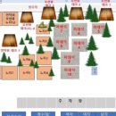 킹콩솔숲캠핑장