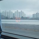 [ 내돈내산 ] 대전의 문화라는 성심당 롯데백화점 매장 구경 후 튀소 부추빵 제주로 데려오기 대작전