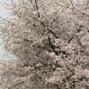 덕풍천동로 이미지