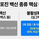 2026 대상포진 예방접종 통증 및 관리 방법 실제 접종 후기 이미지