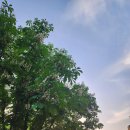 웨이트리 이미지