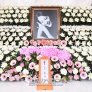 신촌정미소 일간스포츠
