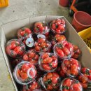 (주)다온축산 - 강서구 | (주)다온축산