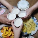 한반도펜션 | [양구 숙소] 시고르 경양식 촬영 장소 &#39;한반도 황토펜션&#39; 목련방 후기