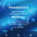 망원동약국 이미지