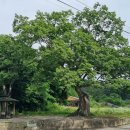 도리 마을회관 이미지