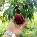 제일스마트영농 이미지