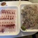 공주이모부