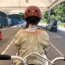 용둔목장 이미지