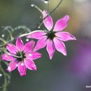 달빛경로당 이미지