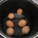 명대16-11 농로 | 산티아고 순례길 14일차 (보아디야 델 카미노 → 카리온 데 로스 콘데스)도보순례 후기