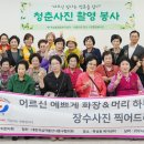 청춘담아 이미지