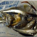 매운탕거리 이미지