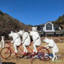 영양보리밥 | 안성 금광호수 둘레길 맛집 금광호수뷰 보리밥 한상차림 [하춘화보리밥]