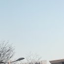 순천-16호 이미지