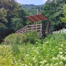 좌구산자연휴양림 이미지