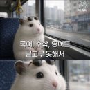 고성곱창 이미지