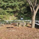 흙과 나무 이미지