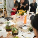 읍내5통마을회관 | 전남 여수 순천 광양 나주 목포 테라리움 체험 클래스 포레스타가 최고