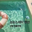 논논스테이 | 단양 아기랑 가는 수영장 독채펜션 논논스테이 솔직 후기