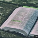 서울선유초등학교 이미지