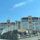 영순이해물찜 이미지