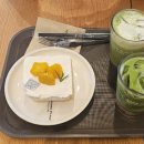 투썸플레이스 동해중앙점 | 투썸플레이스 내돈내산 떠먹는 망고생 너무 맛나요~
