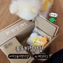 에그인형 놀기 이미지