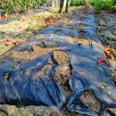 병순농장 이미지