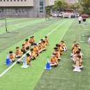 이른오후 이미지