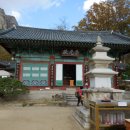주산지 주차장 Daum카페