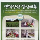 신선영농