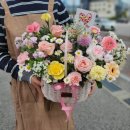 중앙동147 이미지