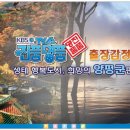 감정체육관 이미지