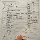 임신 12주차, 봄빛병원 1차 기형아 검사 정밀초음파