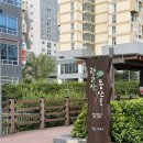 향지리 버스종점 화장실 | 수원 광교산 등산 후기(반딧불이 화장실 - 형제봉 - 시루봉 - 상광교버스종점)