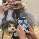 카페두루
