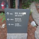 곡성-034 티스토리