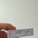빛고을사랑약국 | [임신기록] 임신12주/ 1차 기형아검사 통과 / 임산부 코로나 재감염